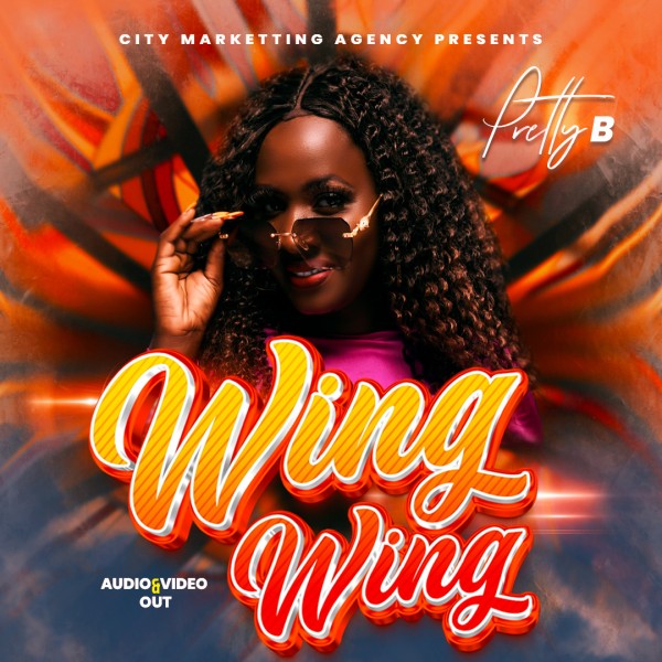 Download:Wing Wing By Pretty B|MP3 Download|Audio Download | Northern Buzz