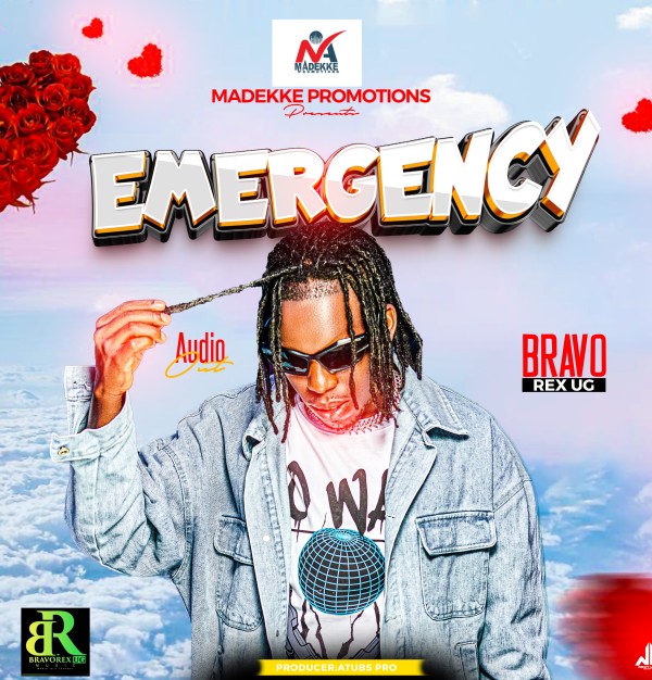 Emergency - Bravo Rex